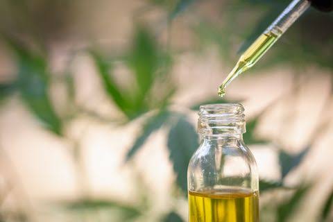 What to Look for While Buying CBD Oil?